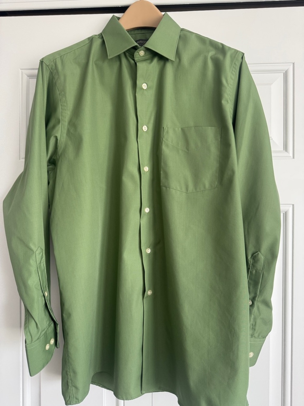 Arrow Olive Green Men's Dress Shirt - Classic Fit Point Collar